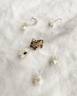 Capricorn Ring