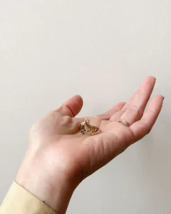 Capricorn Ring