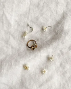 Capricorn Ring